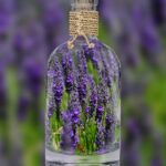 lavender, bottle, plant, spring, purple, nature, field, lavender, lavender, lavender, lavender, lavender, spring